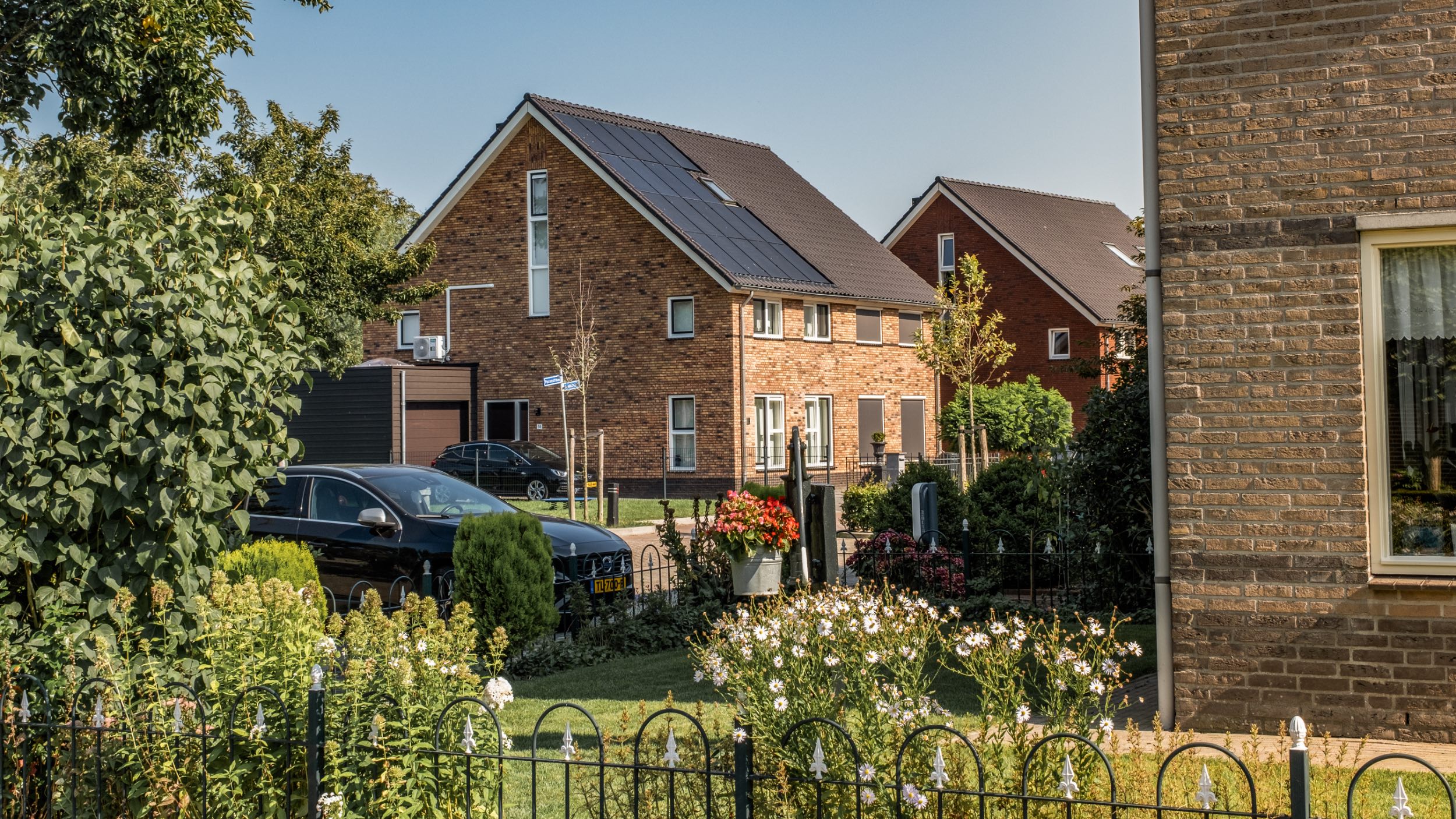 De Nieuwe Zandekkers