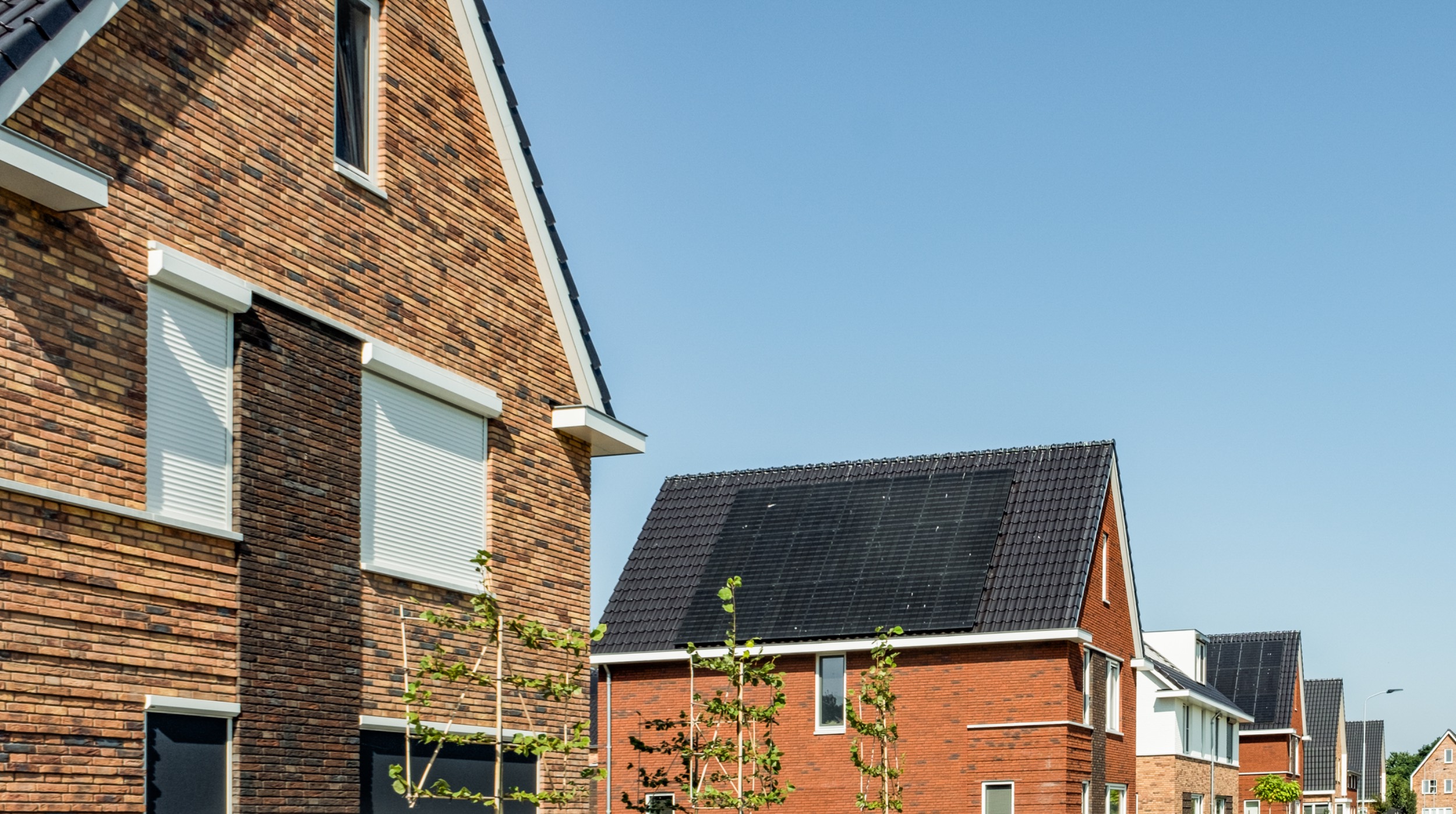 1_De Nieuwe Zandekkers