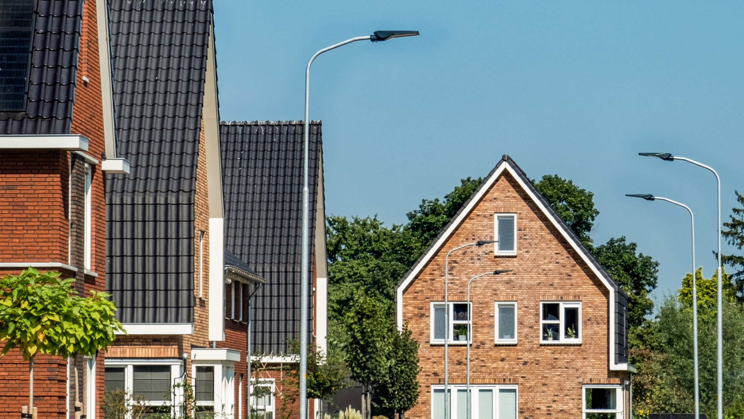 2_De Nieuwe Zandekkers