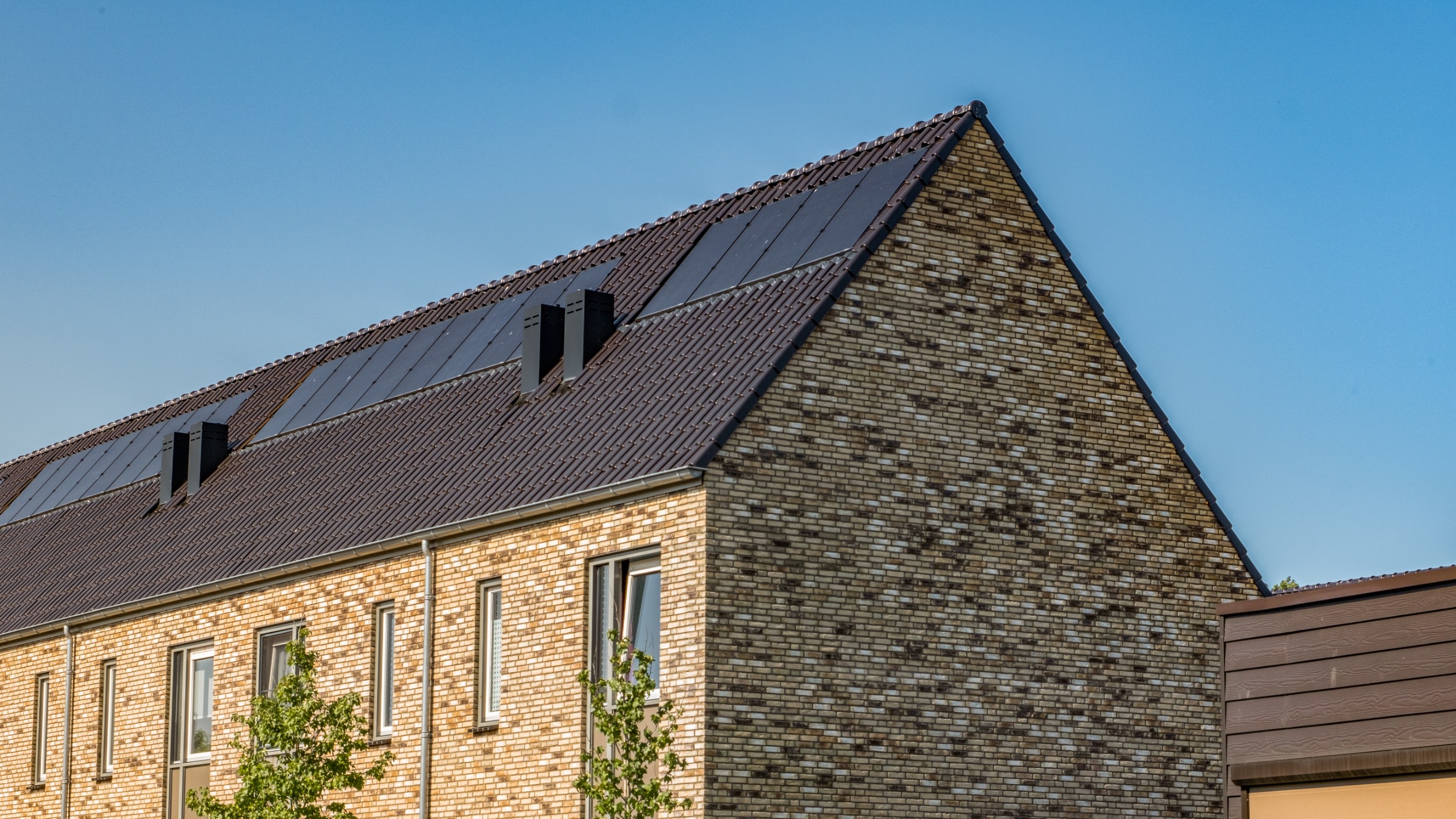 7_De Nieuwe Zandekkers