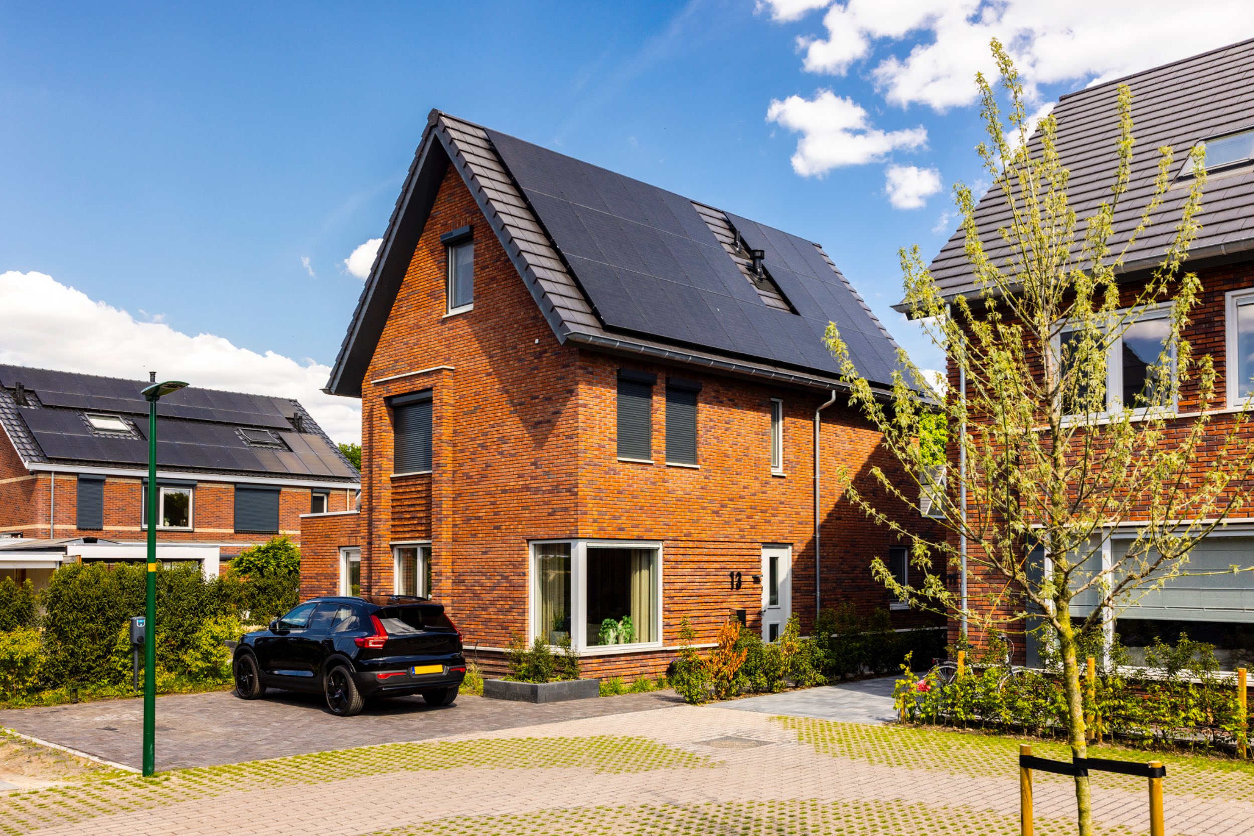 Blauwendraadweide_12