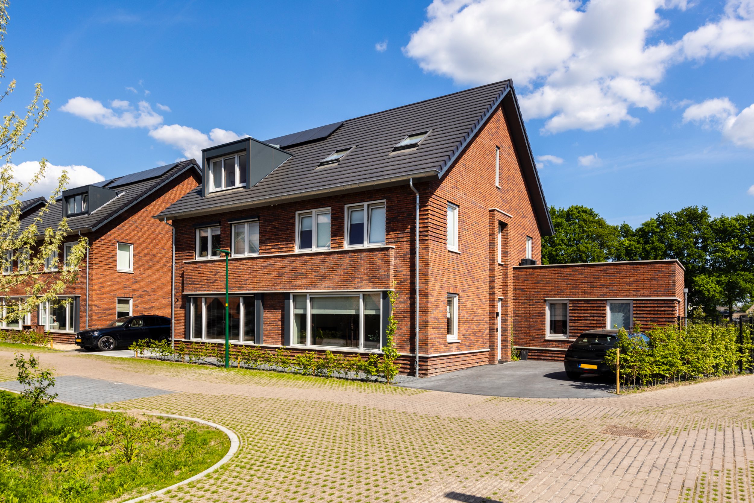 Blauwendraadweide_17